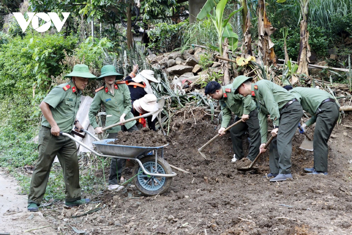 mệnh lệnh từ trái tim hình ảnh 5 menh lenh tu trai tim hinh anh 5
