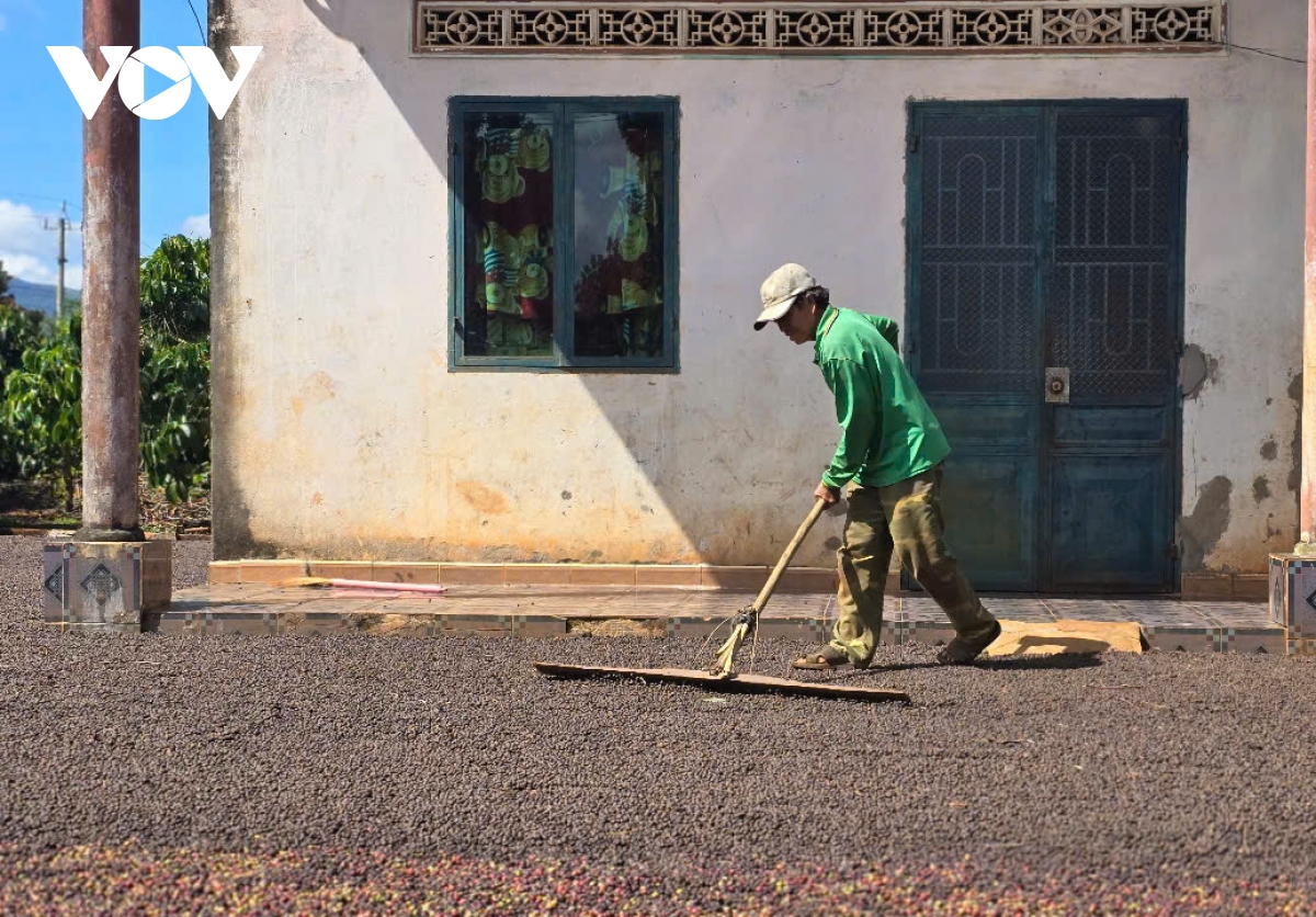hiệu quả nguồn vốn tín dụng trong tái cơ cấu nông nghiệp ở gia lai hình ảnh 3 hieu qua nguon von tin dung trong tai co cau nong nghiep o gia lai hinh anh 3