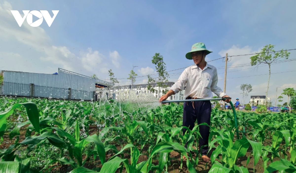 Nồng độ mặn ở Hậu Giang tiếp tục tăng mạnh, có nơi lên tới gần 10‰