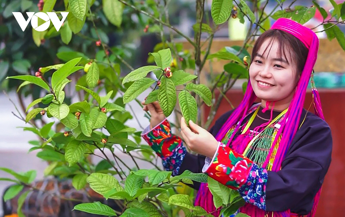 quảng ninh nâng tầm ocop, hướng tới 5 sao cấp quốc gia hình ảnh 1 quang ninh nang tam ocop, huong toi 5 sao cap quoc gia hinh anh 1