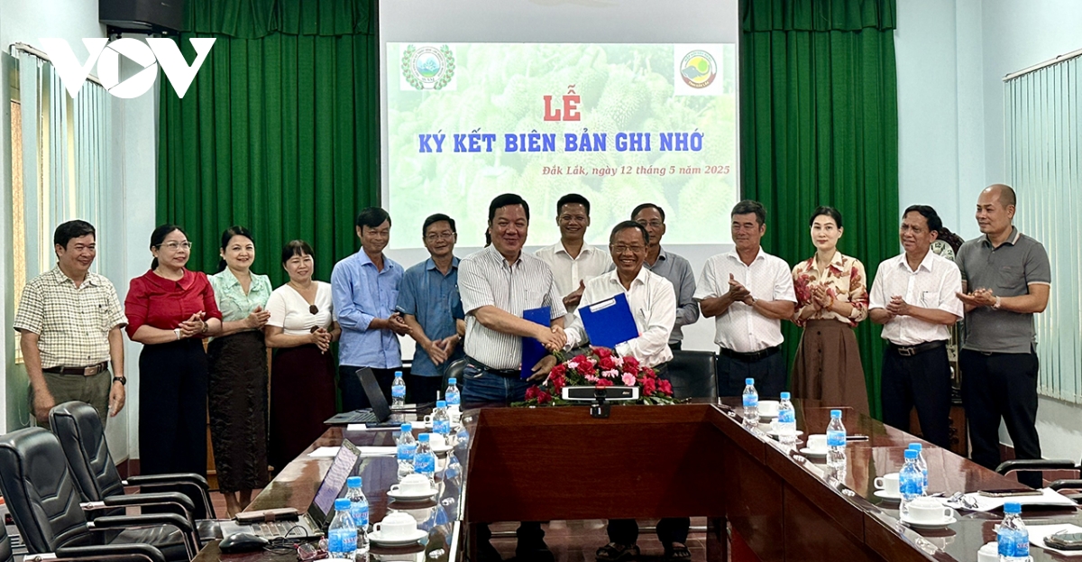 Đắk lắk ký kết nghiên cứu nâng chuẩn sầu riêng xuất khẩu hình ảnh 1 Dak lak ky ket nghien cuu nang chuan sau rieng xuat khau hinh anh 1