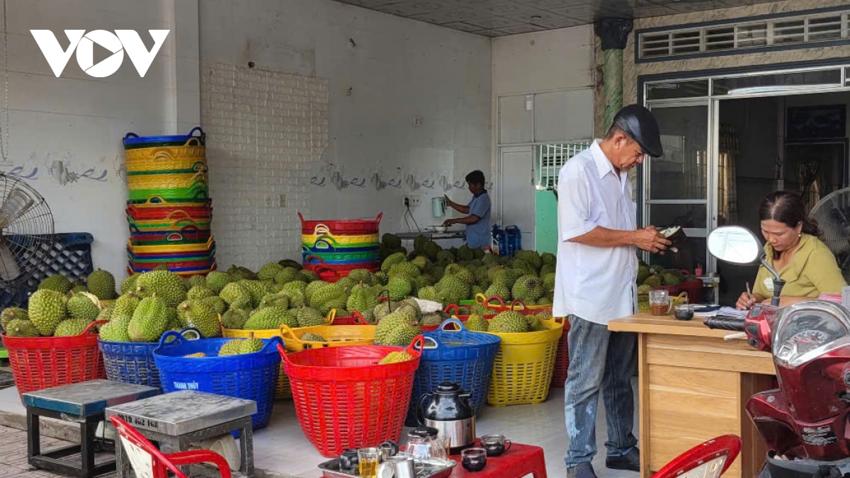 tiền giang tìm giải pháp kiểm soát chất cadimi trong trái sầu riêng hình ảnh 2 tien giang tim giai phap kiem soat chat cadimi trong trai sau rieng hinh anh 2