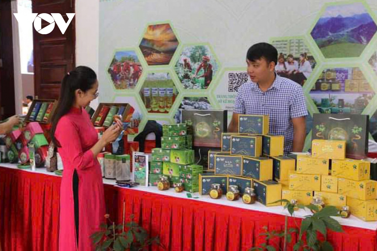 lai châu tổ chức sự kiện thúc đẩy liên kết vùng và thương mại điện tử hình ảnh 1 lai chau to chuc su kien thuc day lien ket vung va thuong mai dien tu hinh anh 1