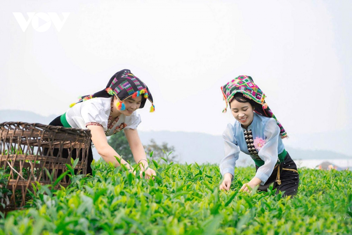 lai châu tổ chức sự kiện thúc đẩy liên kết vùng và thương mại điện tử hình ảnh 4 lai chau to chuc su kien thuc day lien ket vung va thuong mai dien tu hinh anh 4
