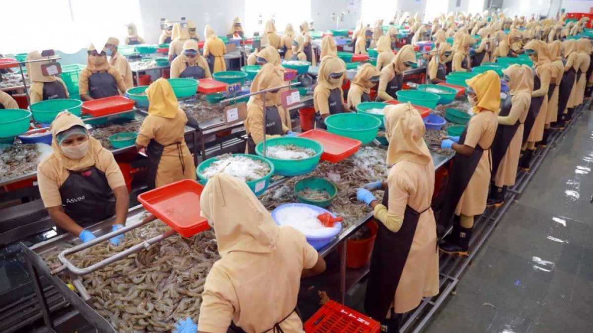 Xuất khẩu thủy sản 4 tháng đầu năm thu về khoảng 3,7 tỷ USD