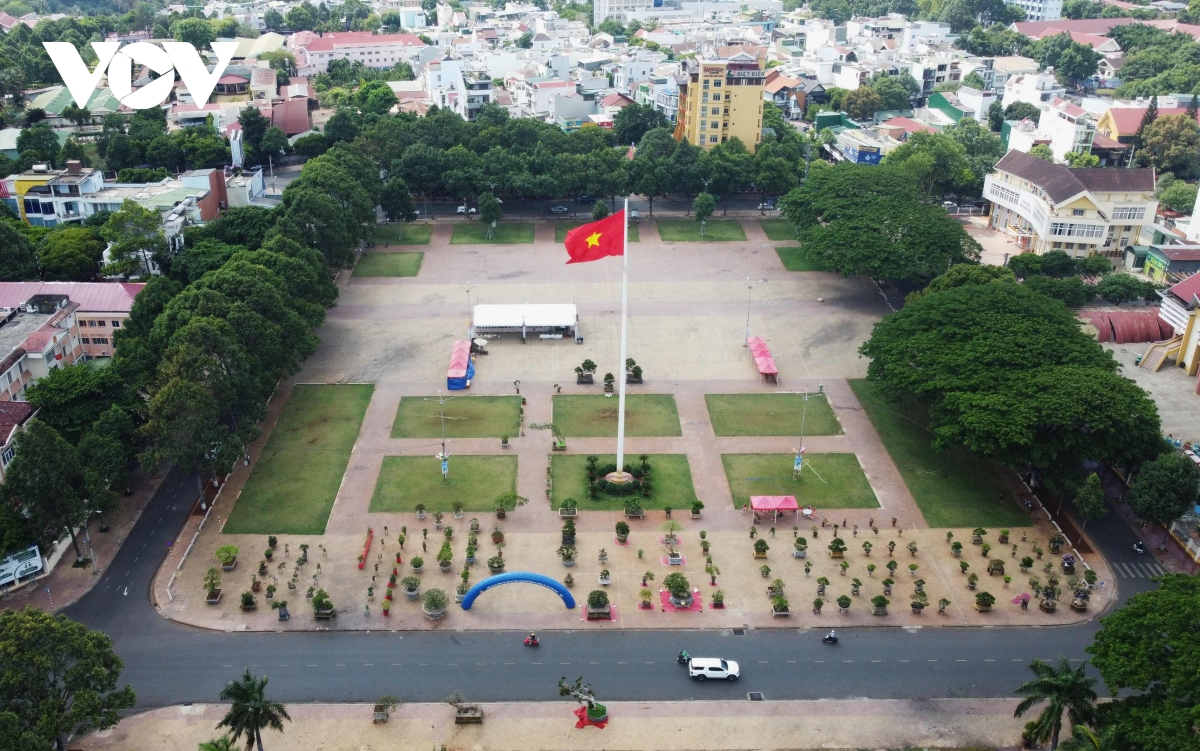 chiêm ngưỡng những gốc bằng lăng trăm tuổi quý hiếm tại buôn ma thuột hình ảnh 1 chiem nguong nhung goc bang lang tram tuoi quy hiem tai buon ma thuot hinh anh 1