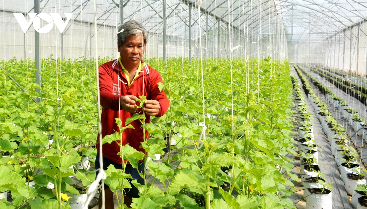 an giang Đẩy mạnh chuyển đổi số hướng tới nông nghiệp thông minh hình ảnh 6 an giang Day manh chuyen doi so huong toi nong nghiep thong minh hinh anh 6