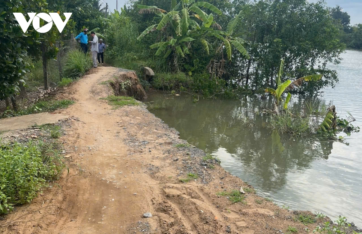 hậu giang lại xảy ra 2 vụ sụp đất, sạt lở bờ sông tại huyện châu thành hình ảnh 1 hau giang lai xay ra 2 vu sup dat, sat lo bo song tai huyen chau thanh hinh anh 1