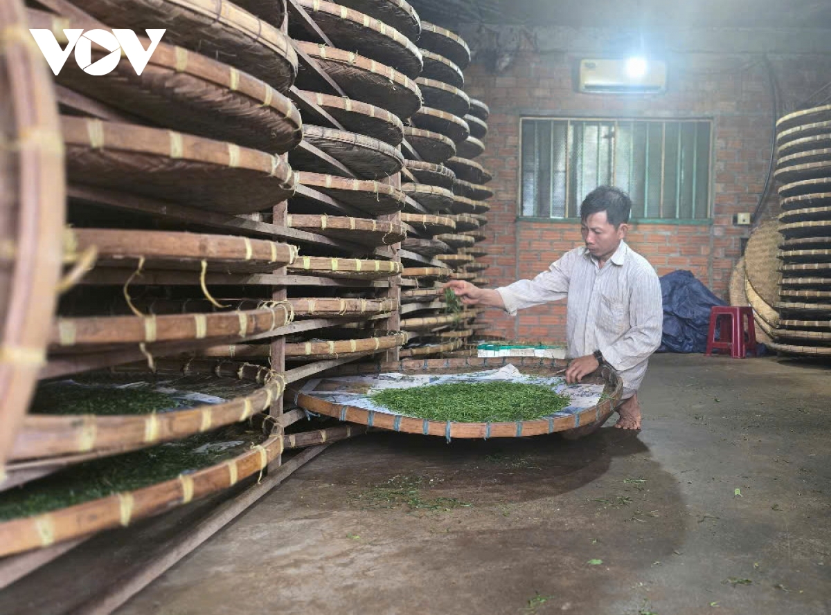 hiệu quả nguồn vốn tín dụng trong tái cơ cấu nông nghiệp ở gia lai hình ảnh 4 hieu qua nguon von tin dung trong tai co cau nong nghiep o gia lai hinh anh 4