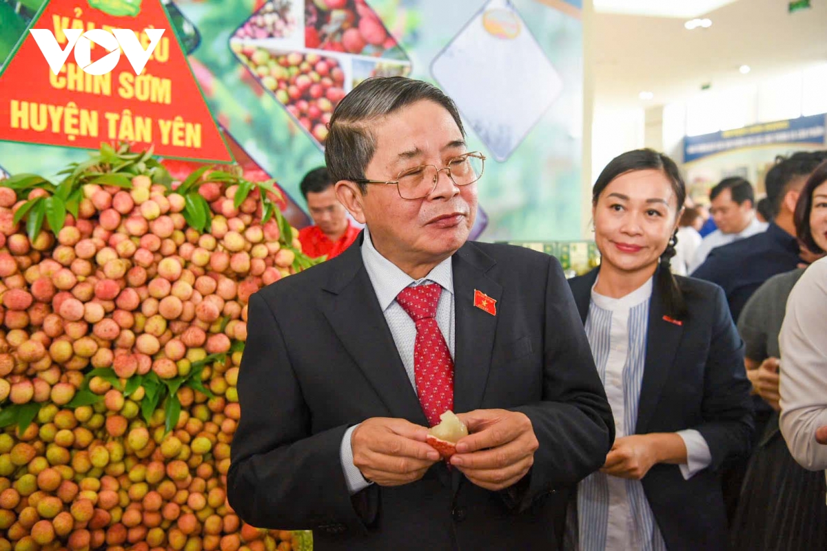 Bắc Giang tổ chức hội nghị xúc tiến tiêu thụ vải thiều