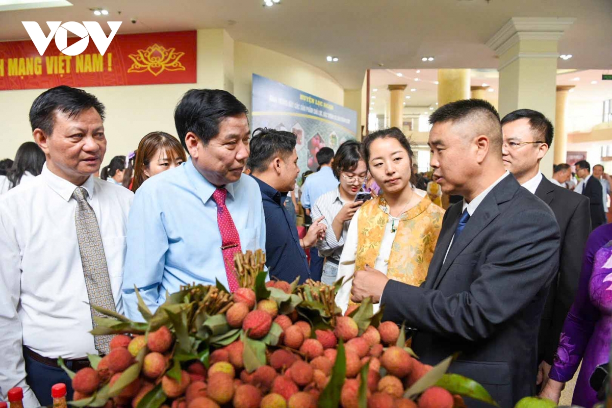 bắc giang tổ chức hội nghị xúc tiến tiêu thụ vải thiều hình ảnh 3 bac giang to chuc hoi nghi xuc tien tieu thu vai thieu hinh anh 3
