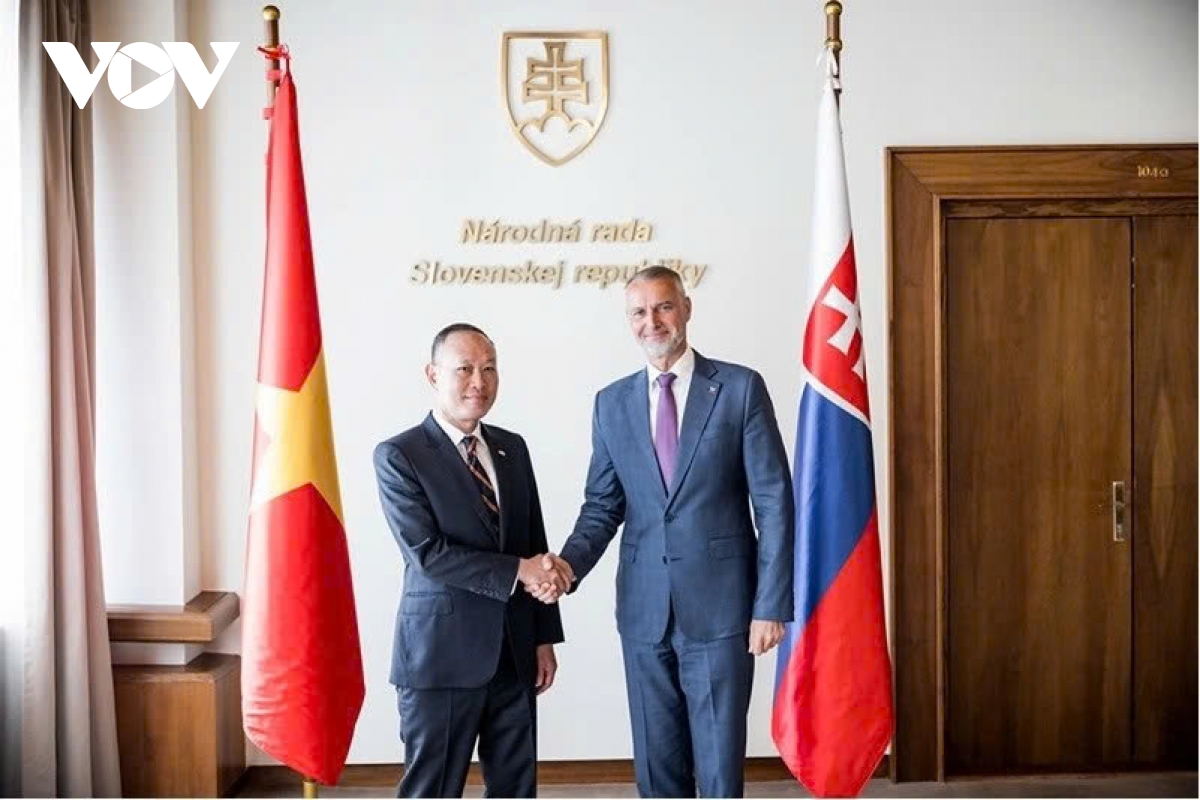 vietnam highly values long-standing friendship with slovakia picture 1 vietnam highly values long-standing friendship with slovakia picture 1