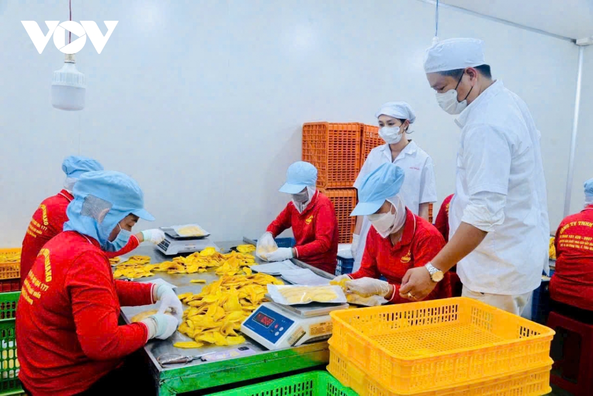 Nghị quyết 68 giúp doanh nghiệp tư nhân Tiền Giang "giương buồm” ra biển lớn