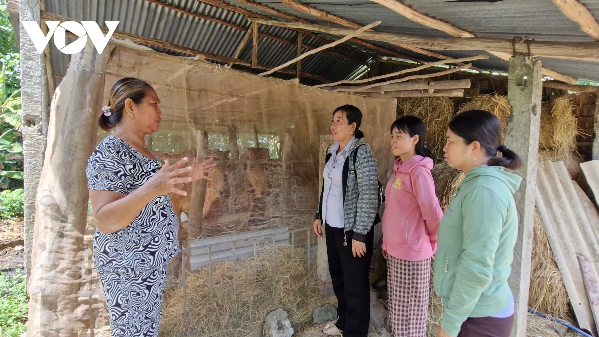 phụ nữ sóc trăng vươn lên làm giàu từ nhiều mô hình kinh tế hình ảnh 2 phu nu soc trang vuon len lam giau tu nhieu mo hinh kinh te hinh anh 2