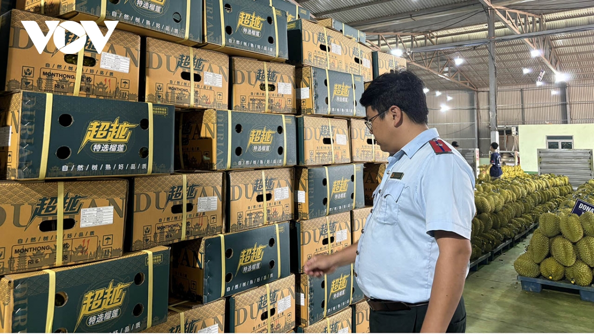Đắk Lắk hướng đến xây dựng thủ phủ sầu riêng quốc gia
