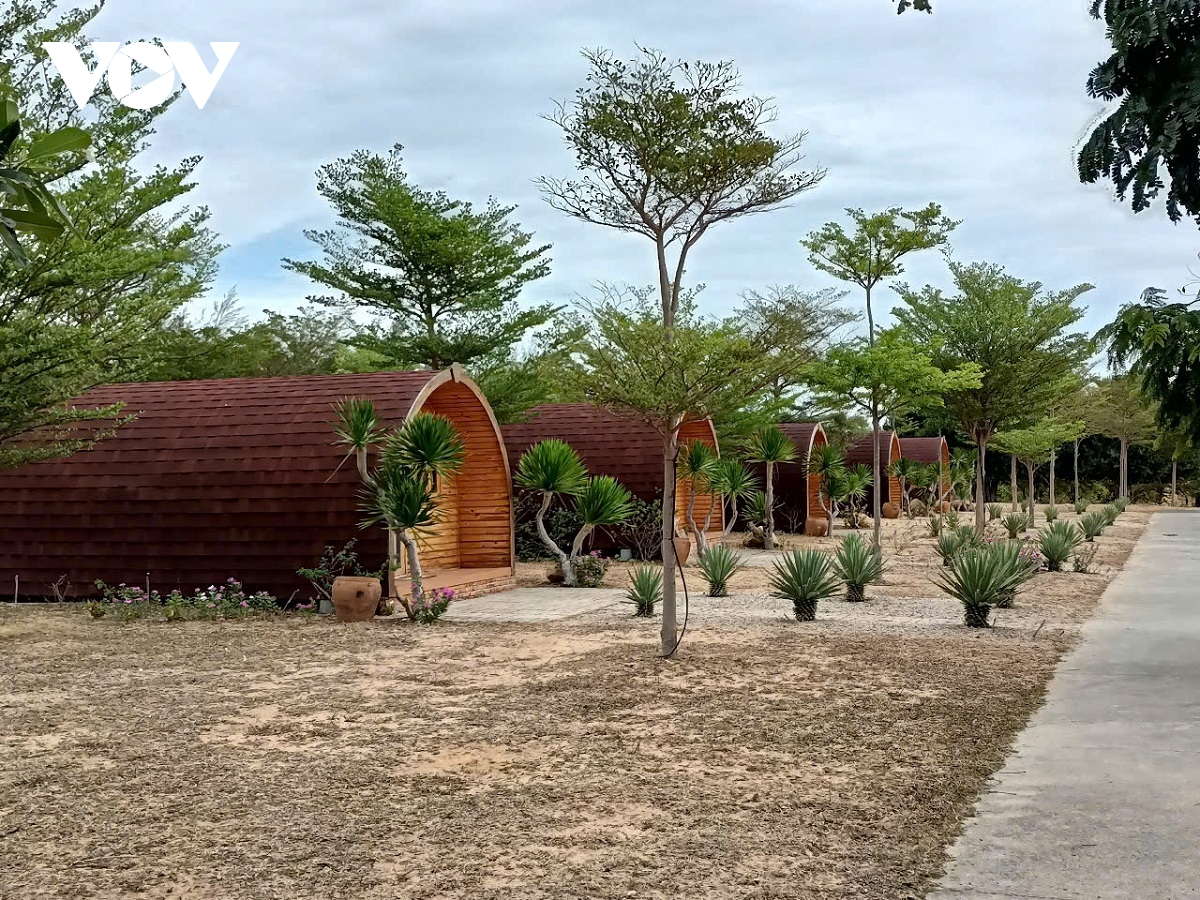 ninh thuận thu hồi gần 3,8 ha đất dự án du lịch vì làm sai quy định hình ảnh 3 ninh thuan thu hoi gan 3,8 ha dat du an du lich vi lam sai quy dinh hinh anh 3