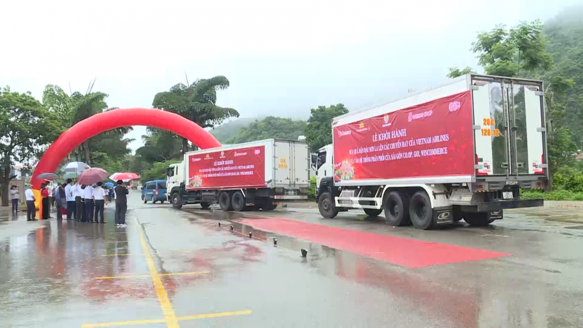 mận hậu sơn la tiếp tục lên các chuyến bay hình ảnh 2 man hau son la tiep tuc len cac chuyen bay hinh anh 2