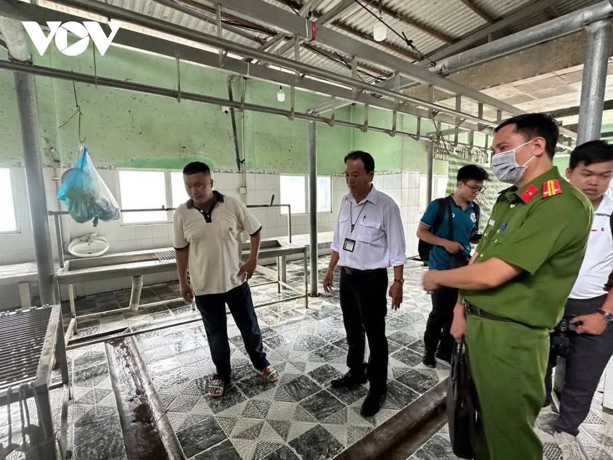 Vụ C.P bị tố bán heo bệnh: Kỷ luật cảnh cáo cán bộ thú y đóng dấu kiểm dịch sai