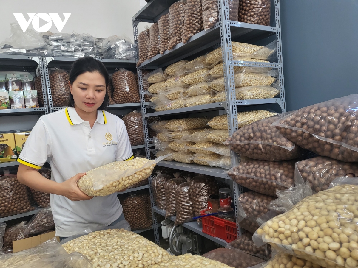Đắk lắk tạo lập môi trường đầu tư kinh doanh thuận lợi cho doanh nghiệp hình ảnh 1 Dak lak tao lap moi truong dau tu kinh doanh thuan loi cho doanh nghiep hinh anh 1