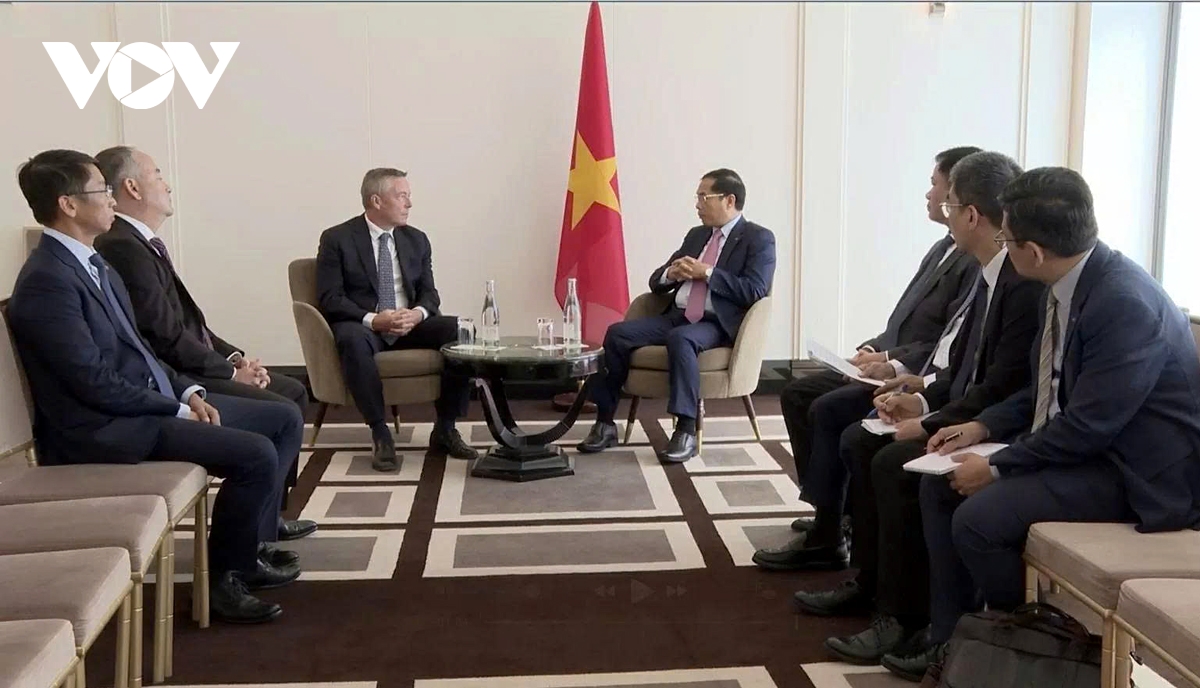 deputy pm hails perenco s investment expansion plan in vietnam picture 1 deputy pm hails perenco s investment expansion plan in vietnam picture 1