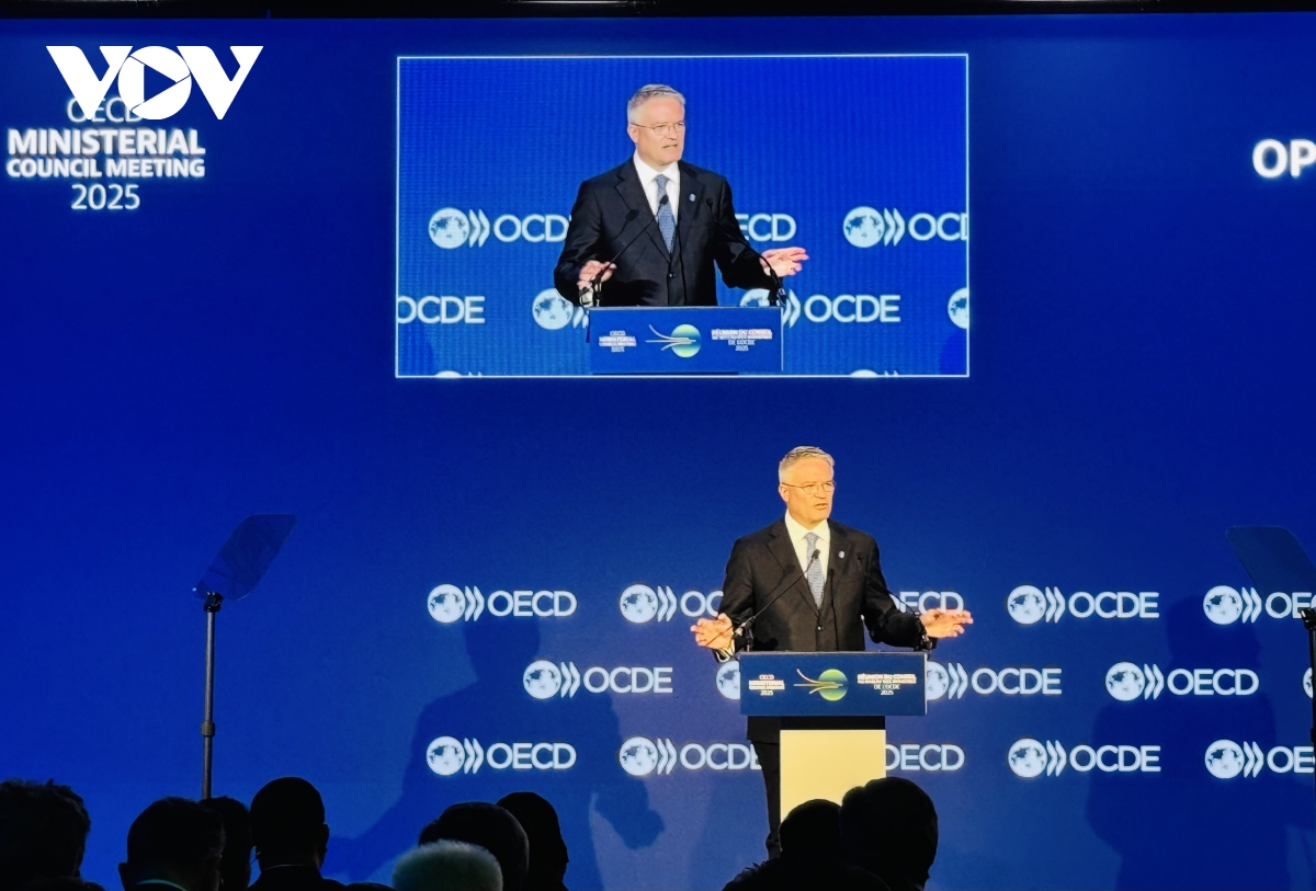 tổng thư ký oecd đánh giá cao vai trò của việt nam hình ảnh 1 tong thu ky oecd danh gia cao vai tro cua viet nam hinh anh 1