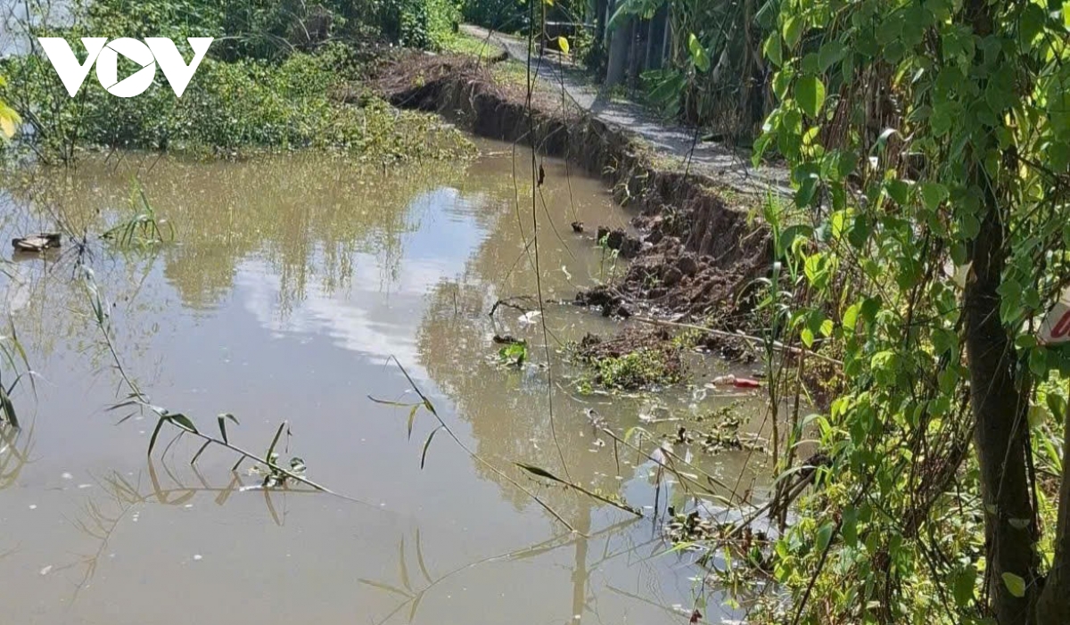 hau giang tang cuong ung pho voi nguy co mua lon, sat lo dat hinh anh 1