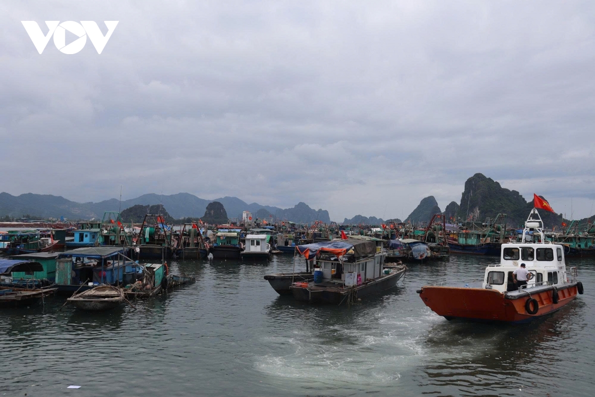 Các địa phương chủ động ứng phó với bão số 1