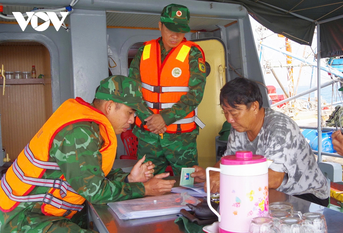 lý sơn - quảng ngãi niêm phong tàu cá 3 không hình ảnh 6 ly son - quang ngai niem phong tau ca 3 khong hinh anh 6