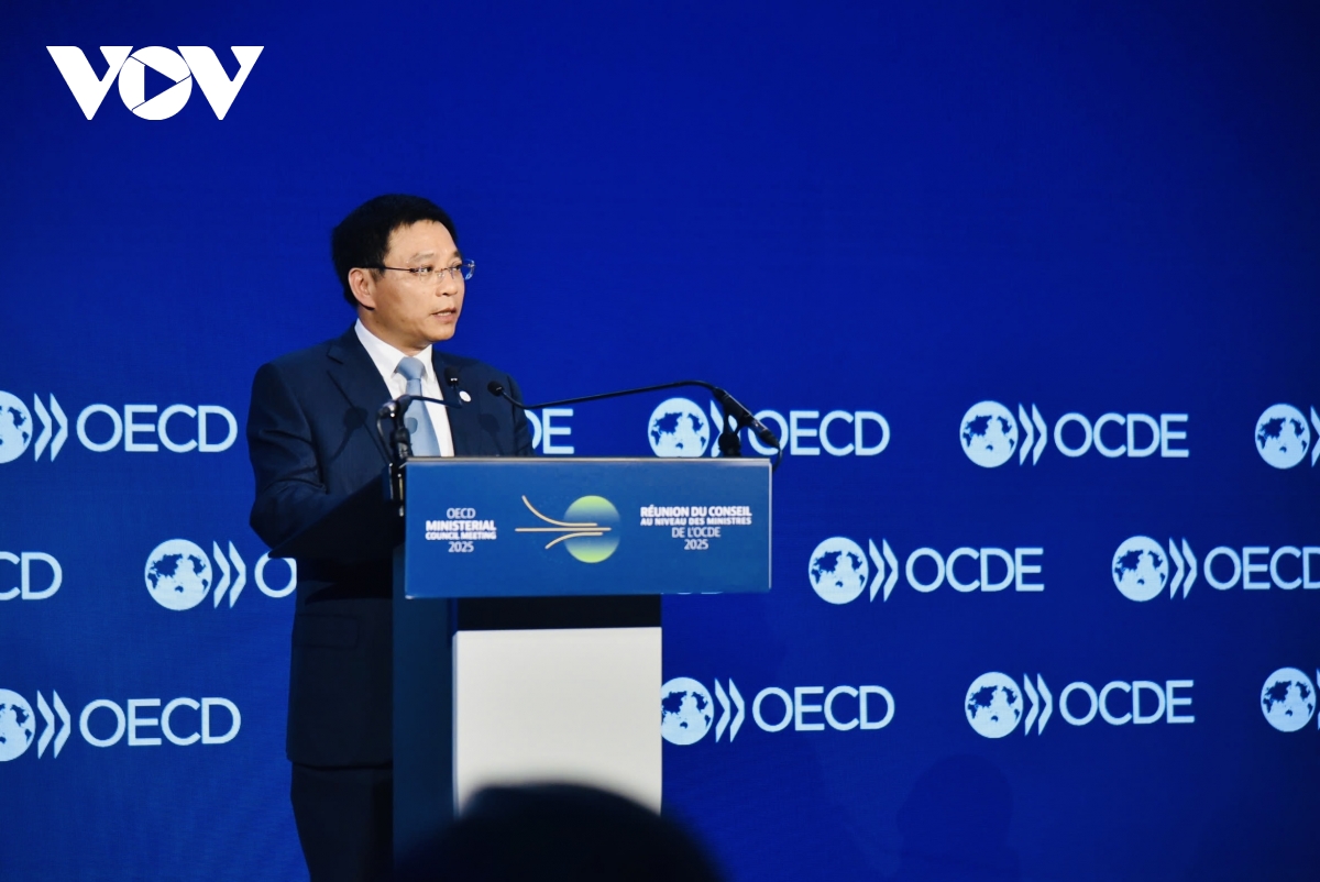 tổng thư ký oecd đánh giá cao vai trò của việt nam hình ảnh 2 tong thu ky oecd danh gia cao vai tro cua viet nam hinh anh 2