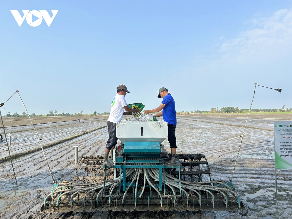 nhãn hiệu gạo việt xanh phát thải thấp chính thức xuất khẩu hình ảnh 1 nhan hieu gao viet xanh phat thai thap chinh thuc xuat khau hinh anh 1