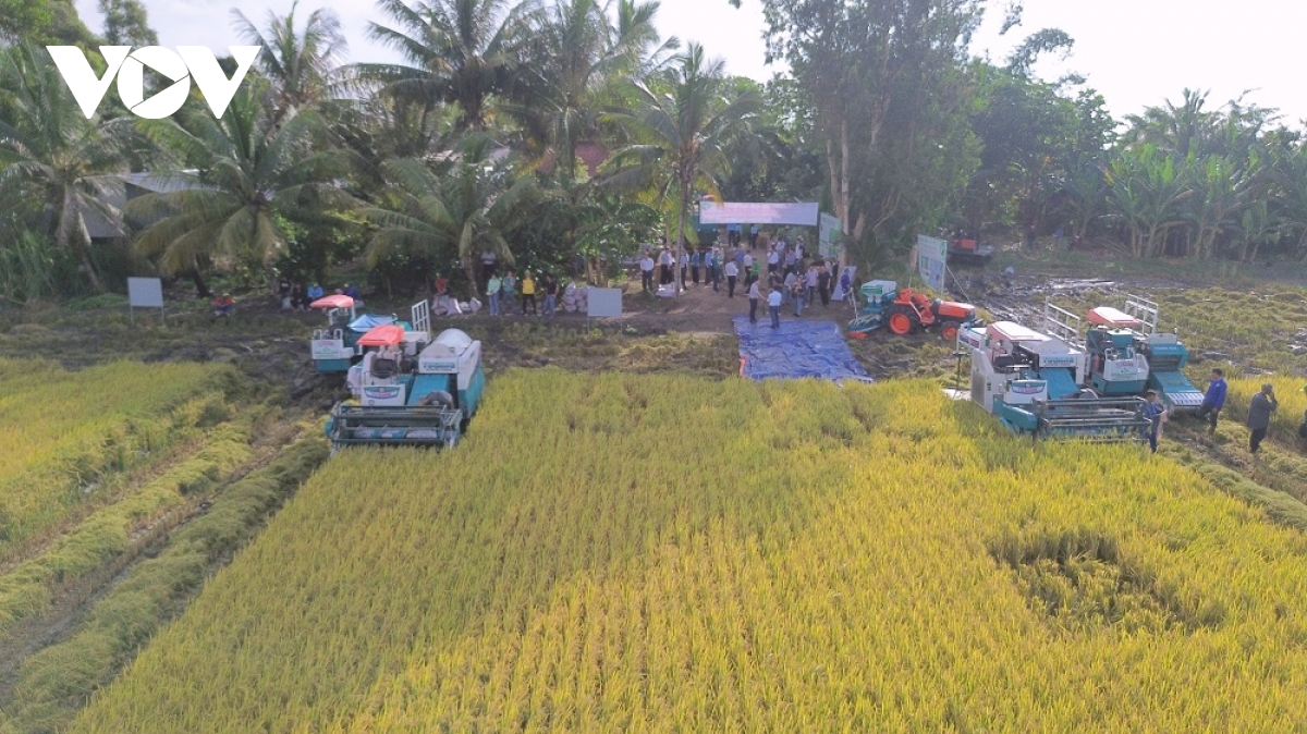 nhãn hiệu gạo việt xanh phát thải thấp chính thức xuất khẩu hình ảnh 2 nhan hieu gao viet xanh phat thai thap chinh thuc xuat khau hinh anh 2