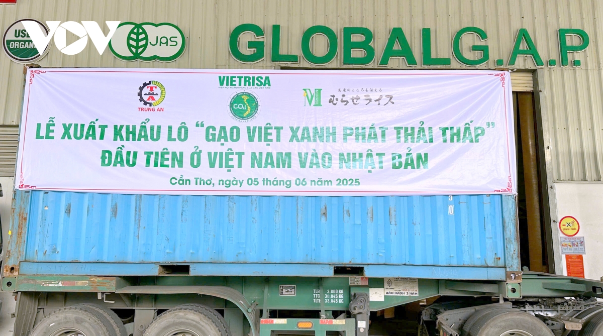 gạo giảm phát thải vào thị trường quốc tế, khẳng định vị thế gạo việt nam hình ảnh 1 gao giam phat thai vao thi truong quoc te, khang dinh vi the gao viet nam hinh anh 1