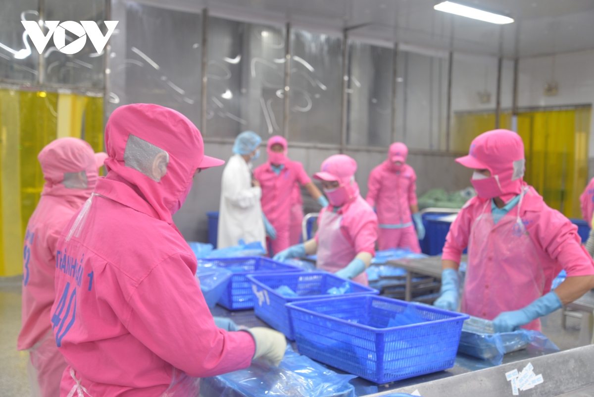 Đồng tháp quyết tâm tạo đột phá để phát triển kinh tế hình ảnh 1 Dong thap quyet tam tao dot pha de phat trien kinh te hinh anh 1