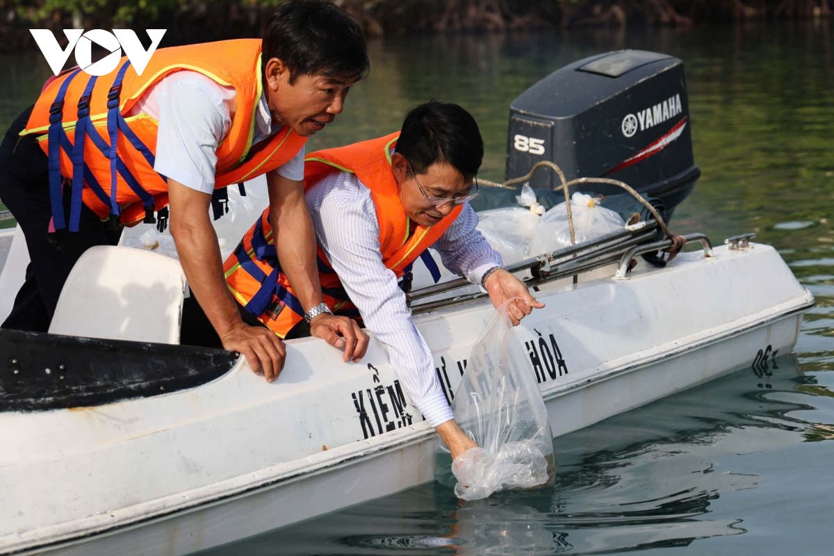 khánh hòa ban hành bộ tiêu chuẩn thúc đẩy du lịch xanh, sạch, thân thiện hình ảnh 2 khanh hoa ban hanh bo tieu chuan thuc day du lich xanh, sach, than thien hinh anh 2