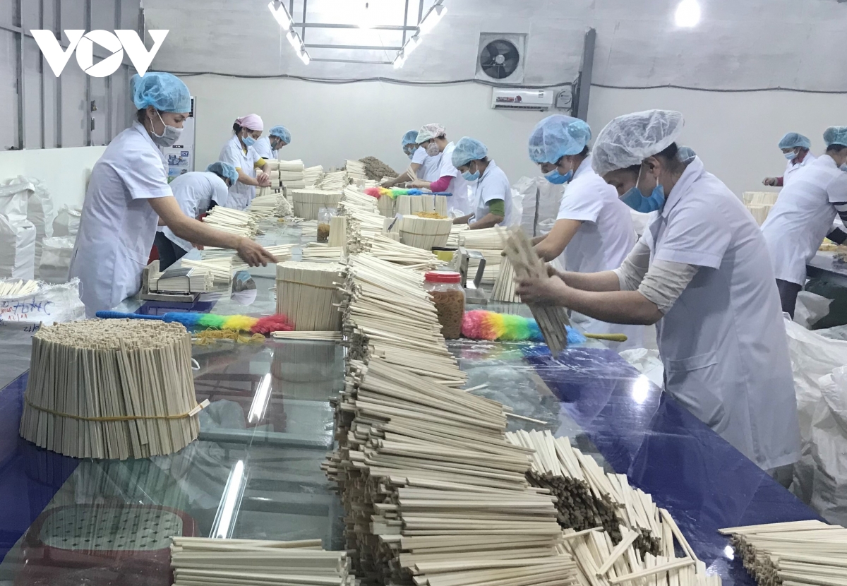 doanh nghiệp tư nhân thắp xanh kinh tế rừng bắc kạn hình ảnh 2 doanh nghiep tu nhan thap xanh kinh te rung bac kan hinh anh 2