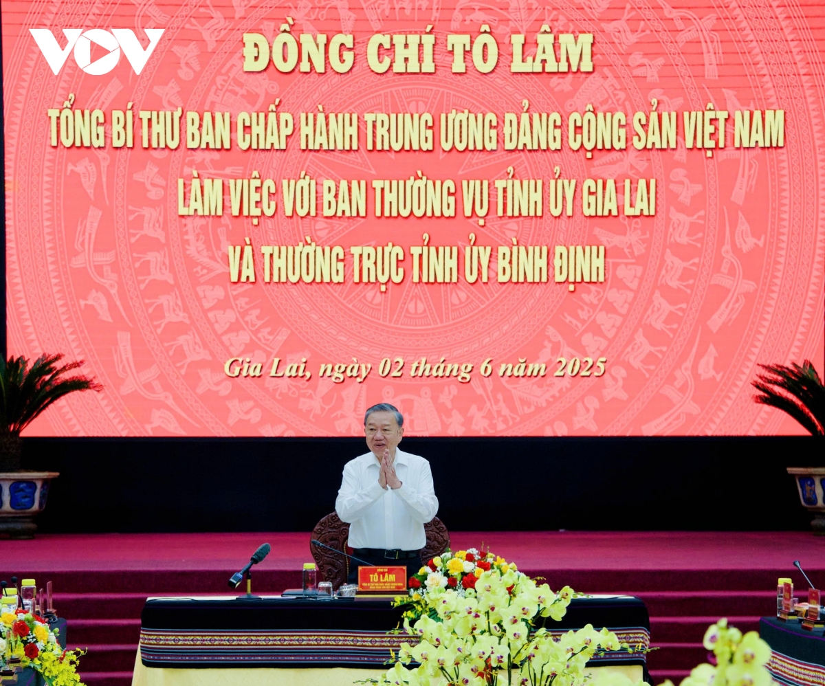 tong bi thu to lam lam viec voi 2 tinh gia lai va binh Dinh hinh anh 3