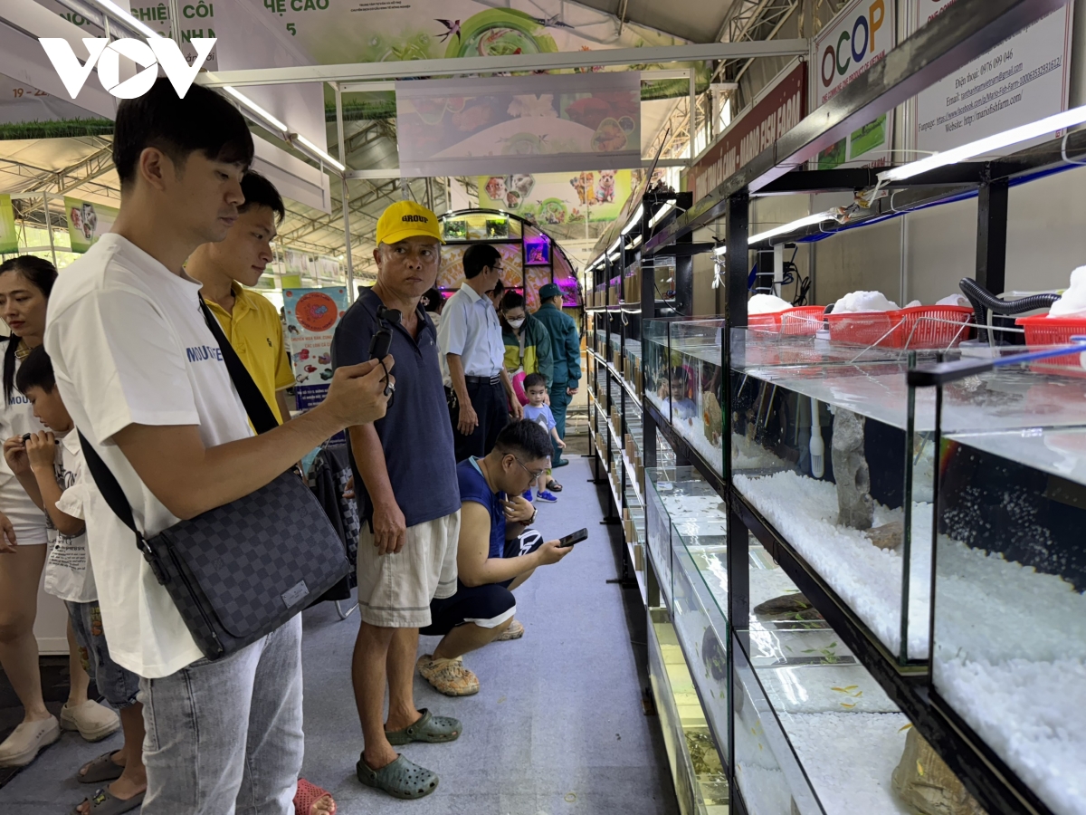kết nối giữa 4 nhà để xây dựng chuỗi giá trị nông nghiệp bền vững hình ảnh 2 ket noi giua 4 nha de xay dung chuoi gia tri nong nghiep ben vung hinh anh 2