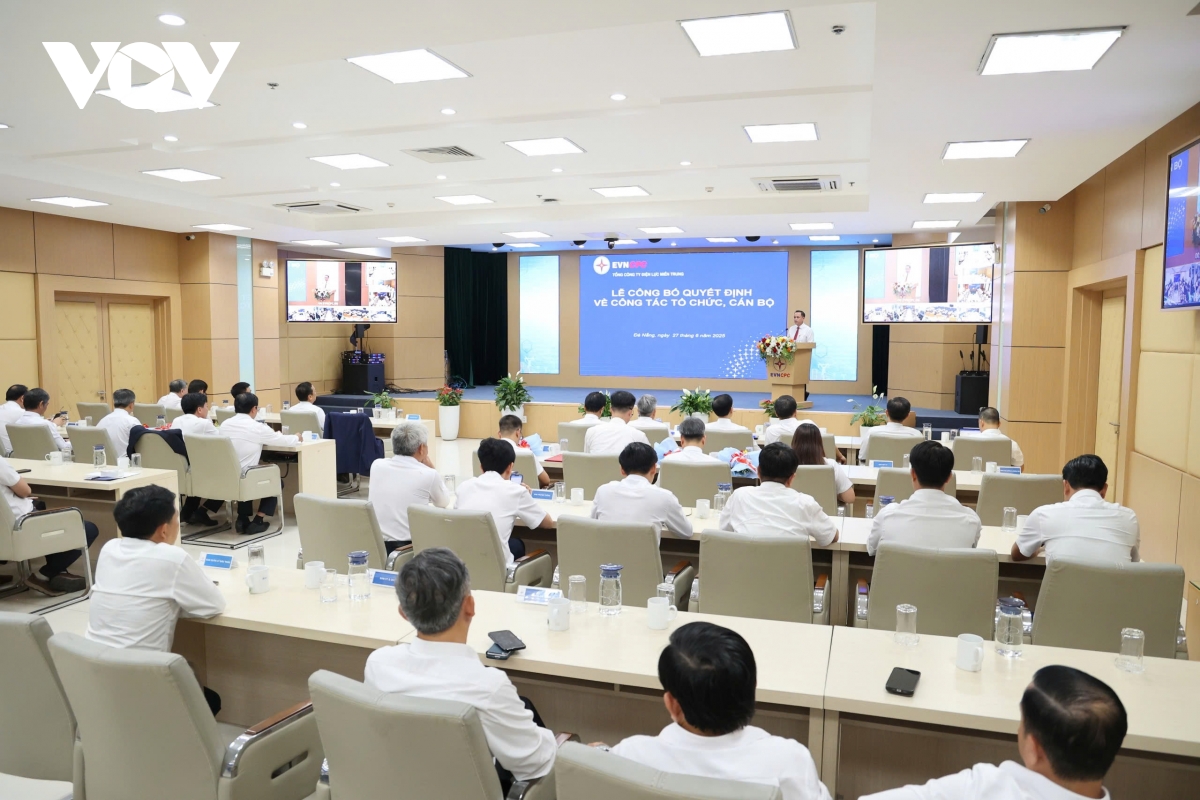 tổng công ty Điện lực miền trung, sáp nhập, tổ chức lại các đơn vị thành viên hình ảnh 1 tong cong ty Dien luc mien trung, sap nhap, to chuc lai cac don vi thanh vien hinh anh 1