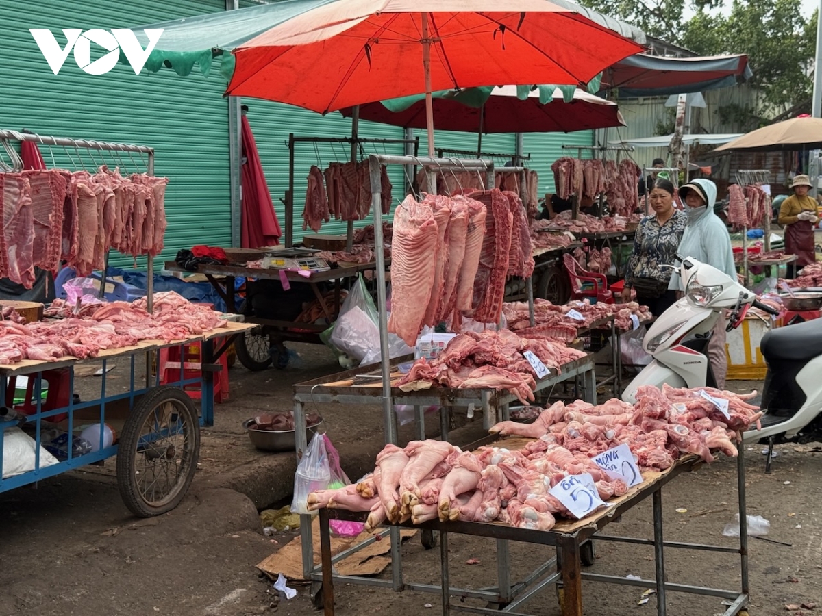 thịt heo lạ siêu rẻ bày bán công khai bên hông chợ đầu mối hóc môn hình ảnh 3 thit heo la sieu re bay ban cong khai ben hong cho dau moi hoc mon hinh anh 3