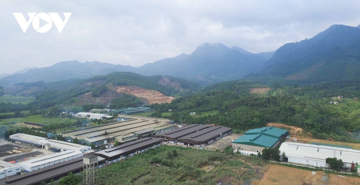doanh nghiệp tư nhân thắp xanh kinh tế rừng bắc kạn hình ảnh 1 doanh nghiep tu nhan thap xanh kinh te rung bac kan hinh anh 1