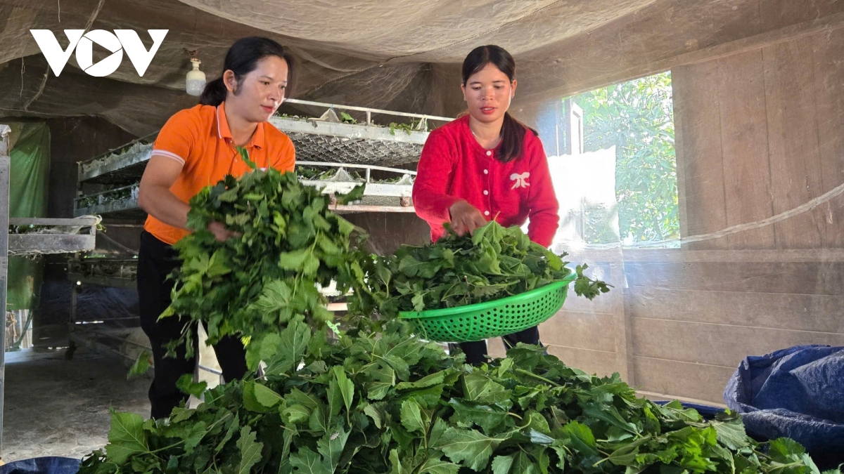 hanh trinh nhan ai giup nguoi lam loi lam lai cuoc doi hinh anh 2