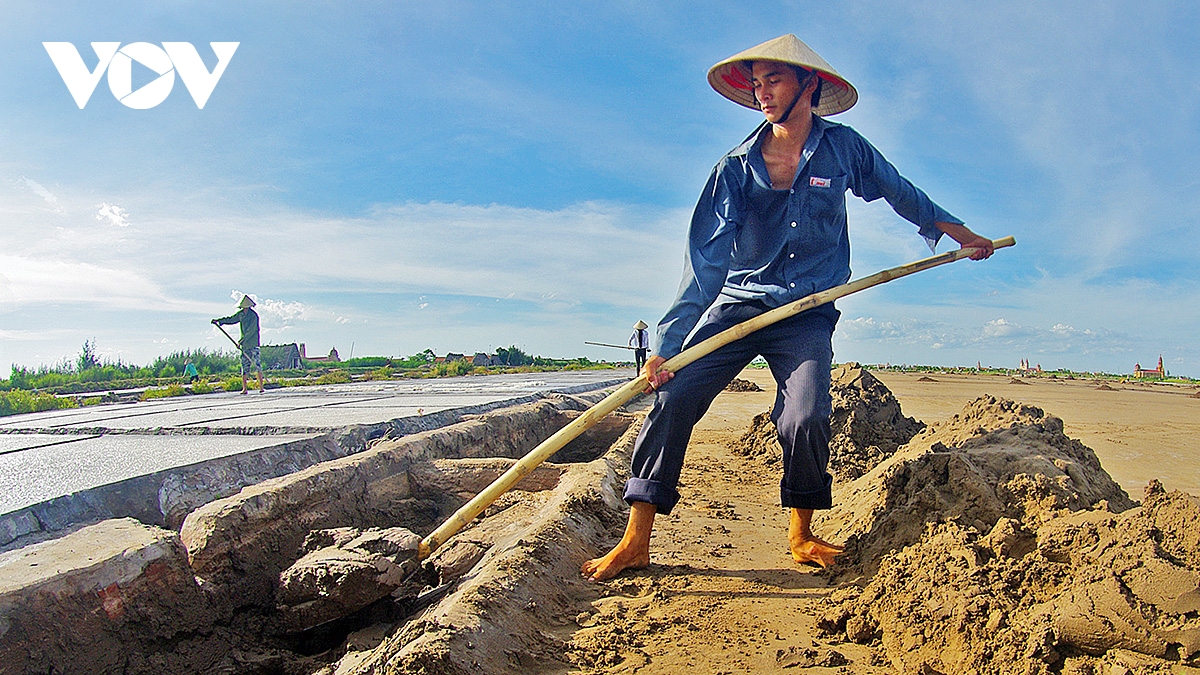man moi nhung giot mo hoi cua diem dan tren canh dong muoi hai ly, hai hau, nam Dinh hinh anh 7