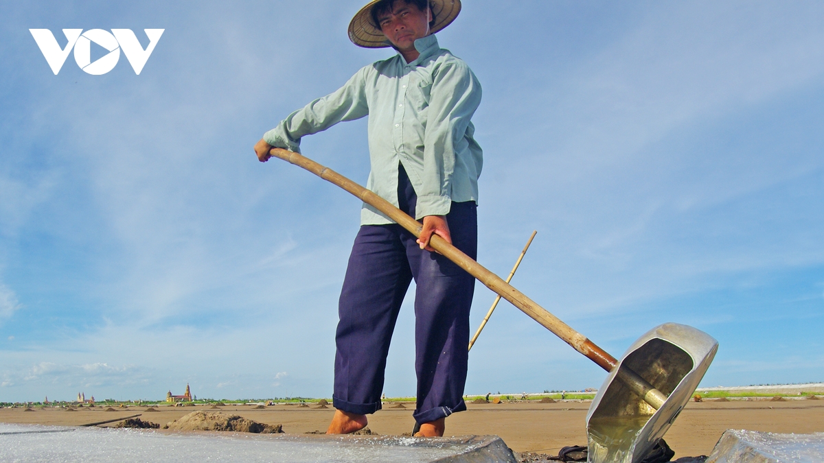 man moi nhung giot mo hoi cua diem dan tren canh dong muoi hai ly, hai hau, nam Dinh hinh anh 17