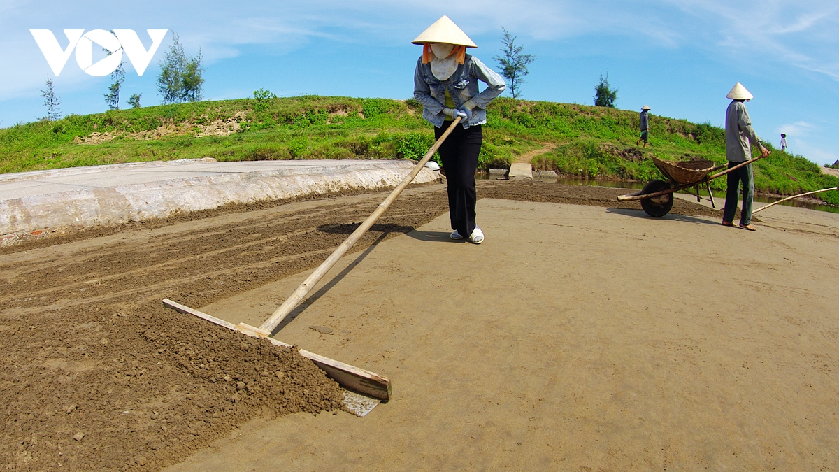 man moi nhung giot mo hoi cua diem dan tren canh dong muoi hai ly, hai hau, nam Dinh hinh anh 5