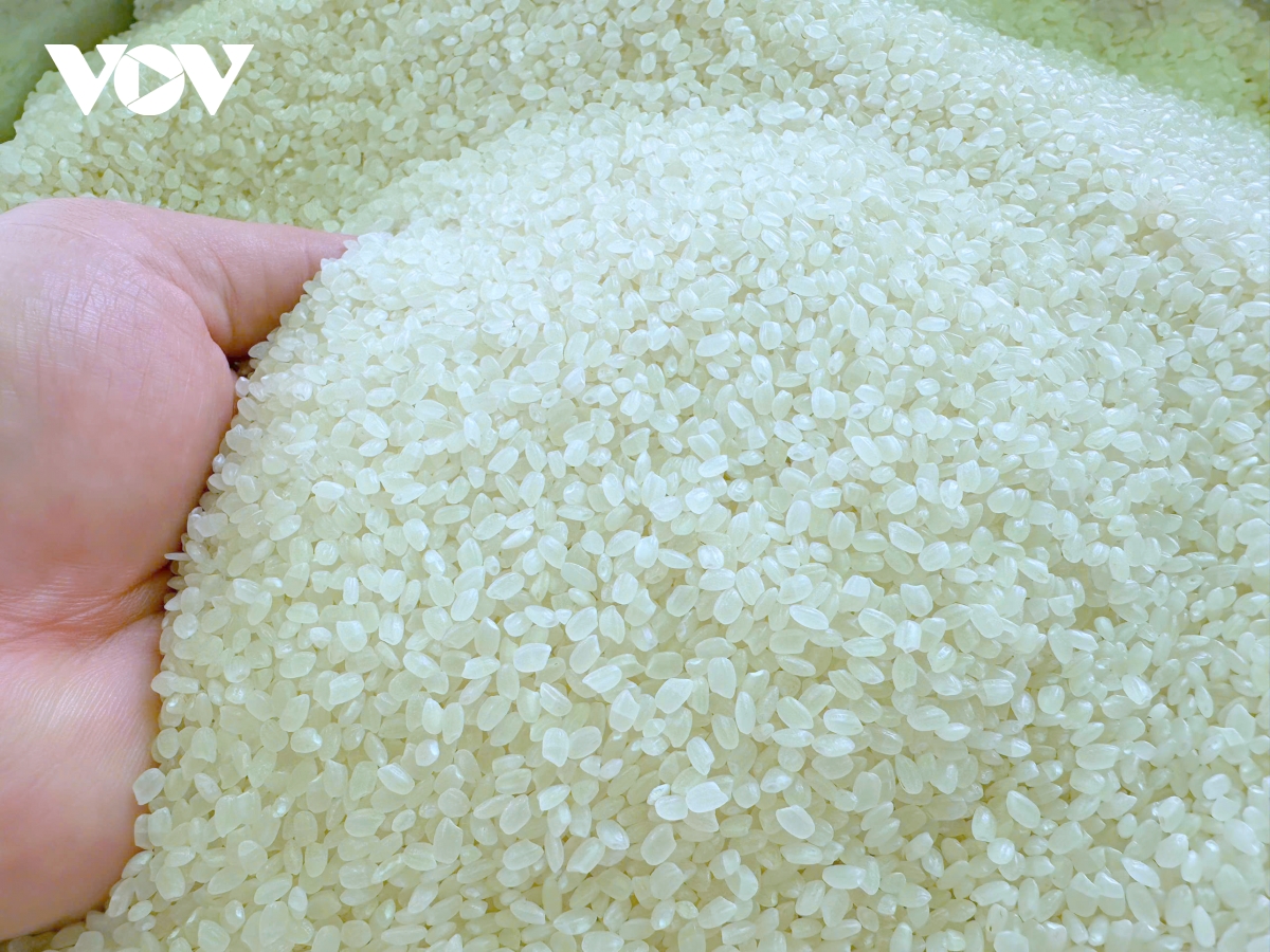 gạo giảm phát thải vào thị trường quốc tế, khẳng định vị thế gạo việt nam hình ảnh 4 gao giam phat thai vao thi truong quoc te, khang dinh vi the gao viet nam hinh anh 4