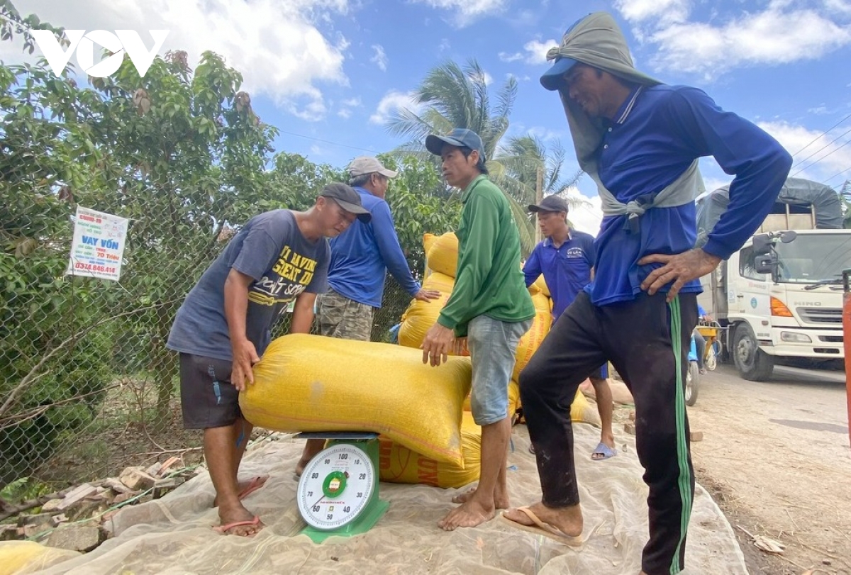 cơ hội lớn để định hình lại ngành hàng lúa gạo việt nam hình ảnh 4 co hoi lon de dinh hinh lai nganh hang lua gao viet nam hinh anh 4