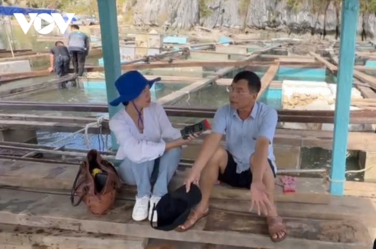 dau an giai bao chi quoc gia nam 2024 cua vov hinh anh 4