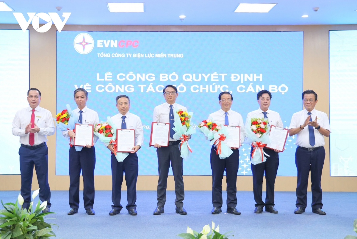 Tổng Công ty Điện lực miền Trung, sáp nhập, tổ chức lại các đơn vị thành viên