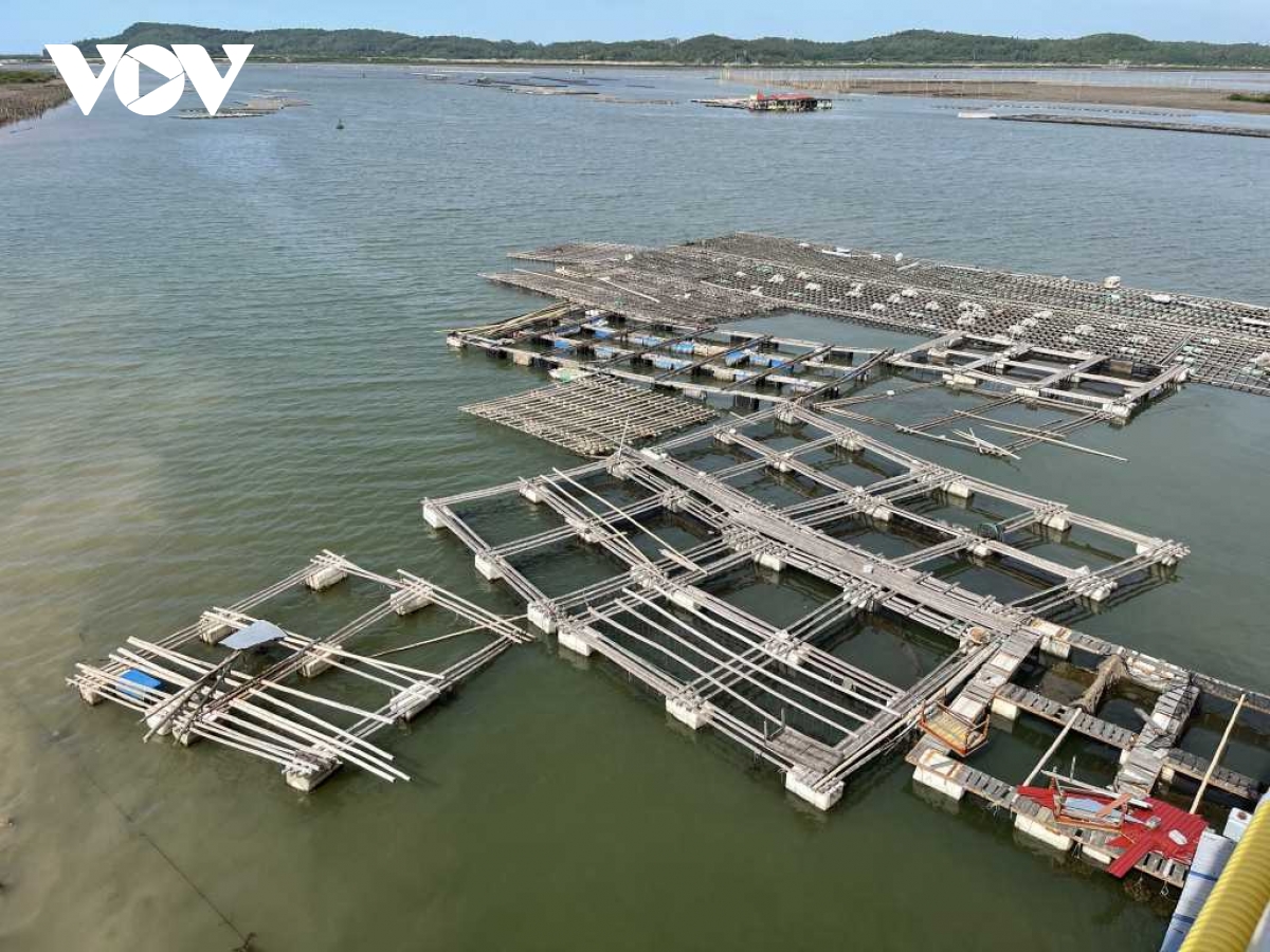 Quảng Ninh khuyến khích mô hình nuôi biển đa giá trị