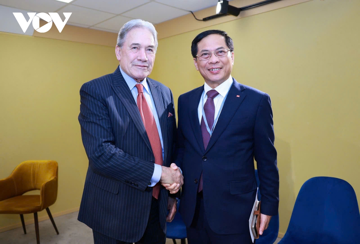 Phó Thủ tướng Bùi Thanh Sơn hội kiến với Ngoại trưởng New Zealand
